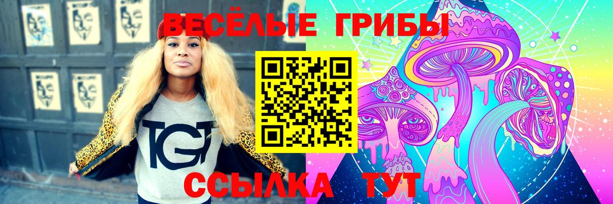 Галлюциногенные грибы ЛСД  Вход с VPN  сколько стоит  Батайск 